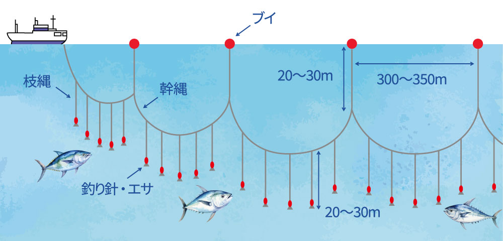 遠洋まぐろ延縄漁法とは